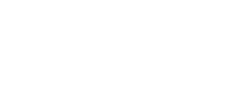 Houston TX Hot Chicken logo