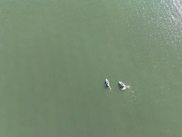 Top-down drone view of two kayakers paddling across open green water on Alum Creek Lake, Ohio