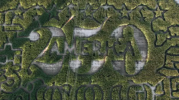 Top-down aerial of a corn maze that spells America 250 with stars at Kackleberry Farms, Michigan