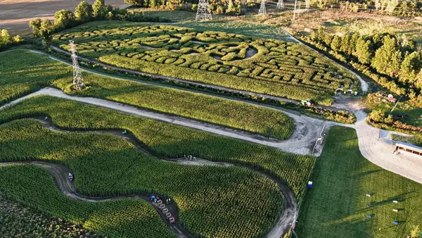 Aerial view of corn mazes and winding dirt paths in low evening sun at Kackleberry Farms, Michigan