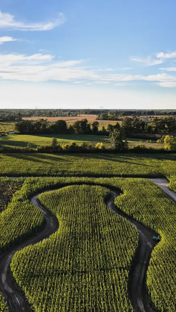 Aerial view of a winding dirt path curving through a green corn maze at Kackleberry Farms, Michigan